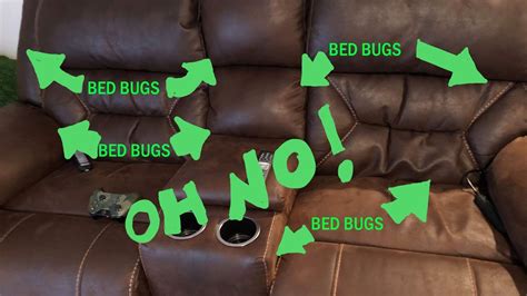 will bed bugs live in leather furniture